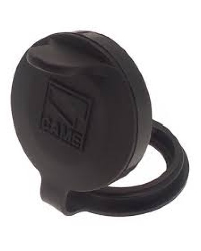 Защита целиндра замка A4366 Came 119RIA051 в Нижнем Тагиле Запчасти для шлагбаумов и автоматики Pintop.ru