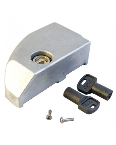 Дверца замка разблокировки BK Came 119RIBK012 в Нижнем Тагиле Запчасти для шлагбаумов и автоматики Pintop.ru