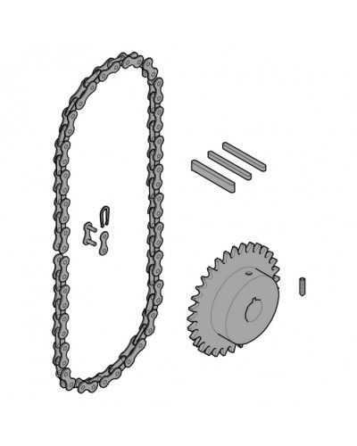 Передающая система (цепь и звездочки) C005 Came 119RICX016 в Нижнем Тагиле Запчасти для шлагбаумов и автоматики Pintop.ru