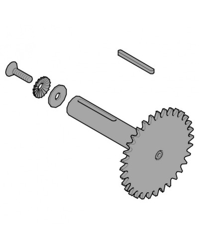 Звездочка C003 C004 C005 Came 119RICX013 в Нижнем Тагиле Запчасти для шлагбаумов и автоматики Pintop.ru