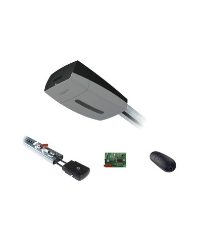 Came V10DMS3.25 KIT (до 3,25 м до 18 м2) - Комплект автоматики для секционных ворот высотой до 2,7 м на основе привода VER10DMS в Нижнем Тагиле Автоматизация ворот Pintop.ru