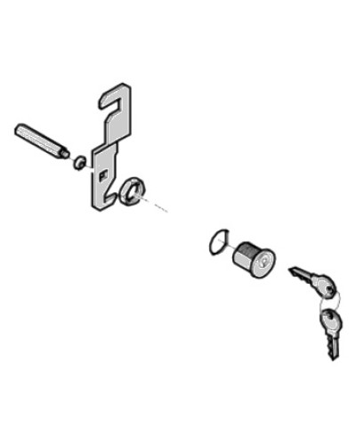 Замок дверцы G4040 G4041 Came 119RIG176 в Нижнем Тагиле Запчасти для шлагбаумов и автоматики Pintop.ru