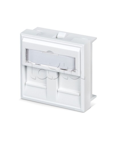 Вставка 45x45 (аналог Mosaic) для 2 модулей формата Keystone Jack Cabeus FP-45-2M в Нижнем Тагиле Модули Keystone Pintop.ru