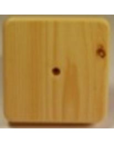 Коробка распаячная, с винтом, 100x100x20 (50 шт/уп) ПожТехКабель 030-009 в Нижнем Тагиле Распределительные коробки Pintop.ru