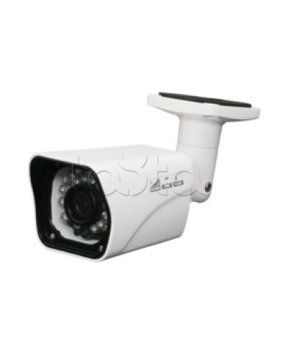 Камера видеонаблюдения в стандартном исполнении EverFocus ACE-ABB20XHD в Нижнем Тагиле Аналоговые камеры Pintop.ru