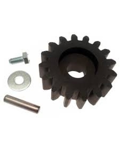 Шестерня для цепной передачи Came 119RIBK036 в Нижнем Тагиле Запчасти для шлагбаумов и автоматики Pintop.ru