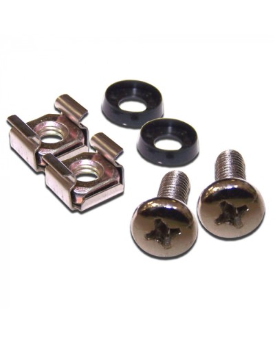 Крепежные винты для патч-панелей, 30 шт. в пачке LANMASTER (LAN-SC30) в Нижнем Тагиле Расходные материалы для шкафов и стоек Pintop.ru