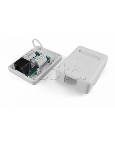 Розетка компьютерная RJ-45(8P8C) Hyperline SB1-2-8P8C-C6-SH-WH в Нижнем Тагиле Розетки компьютерные и телефонные Pintop.ru
