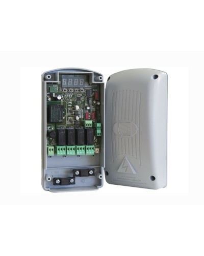 Радиодекодер Came 806RV-0010 в Нижнем Тагиле Запчасти для шлагбаумов и автоматики Pintop.ru