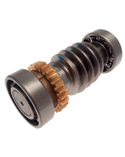 Червяк FROG Came 119RIA016 в Нижнем Тагиле Запчасти для шлагбаумов и автоматики Pintop.ru