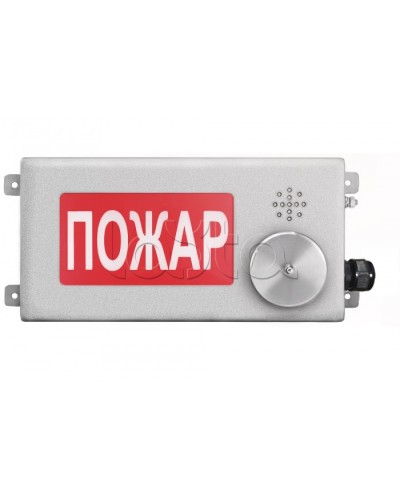 Табло светозвуковое взрывозащищенное Спектрон ТСЗВ-Exm-Н-Прометей-МИНИ 220В в Нижнем Тагиле Оповещатели Ex Pintop.ru