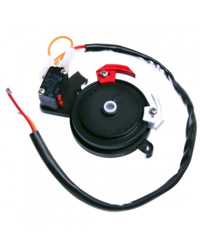 Концевые микровыключатели в сборе BX-243 Came 119RIBX041 в Нижнем Тагиле Запчасти для шлагбаумов и автоматики Pintop.ru