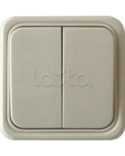 Выключатель двухклавишный открытой установки Экопласт, схема 5, (бежевый) в Нижнем Тагиле Розетки компьютерные и телефонные Pintop.ru