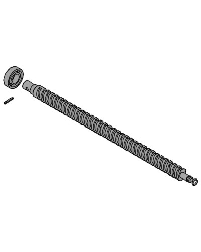 Винт ходовой AX302304, AX3024, АХ402306, AX412306 Came 119RID319 в Нижнем Тагиле Запчасти для шлагбаумов и автоматики Pintop.ru