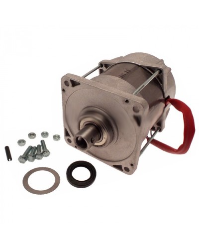 Электродвигатель FERNI Came 119RID087 в Нижнем Тагиле Запчасти для шлагбаумов и автоматики Pintop.ru