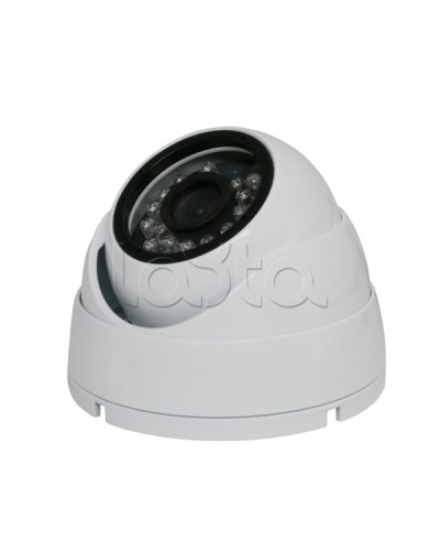 Камера видеонаблюдения купольная EverFocus ACE-IAB20XHD в Нижнем Тагиле Аналоговые камеры Pintop.ru