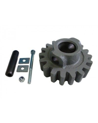 Шестерня ведущая ВК Came 119RIBK002 в Нижнем Тагиле Запчасти для шлагбаумов и автоматики Pintop.ru