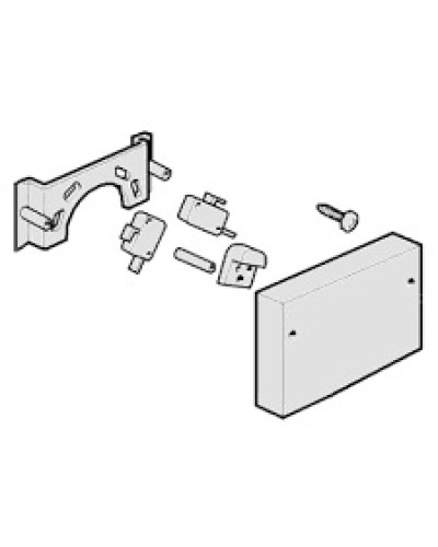 Микровыключатели G4000, G3750 Came 119RIG040 в Нижнем Тагиле Запчасти для шлагбаумов и автоматики Pintop.ru