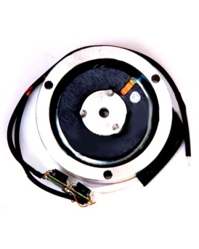 Электромагнит BY1500T Came 119RIY034 в Нижнем Тагиле Запчасти для шлагбаумов и автоматики Pintop.ru