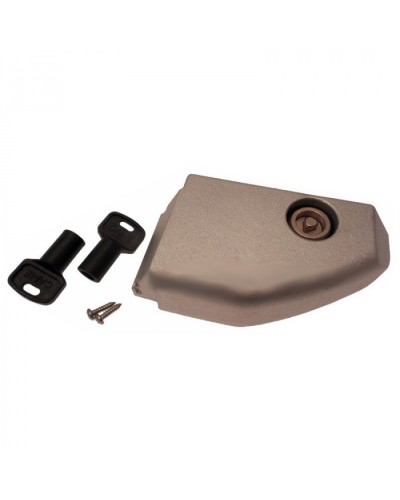 Дверца разблокировки с замком BX Came 119RIBX008 в Нижнем Тагиле Запчасти для шлагбаумов и автоматики Pintop.ru