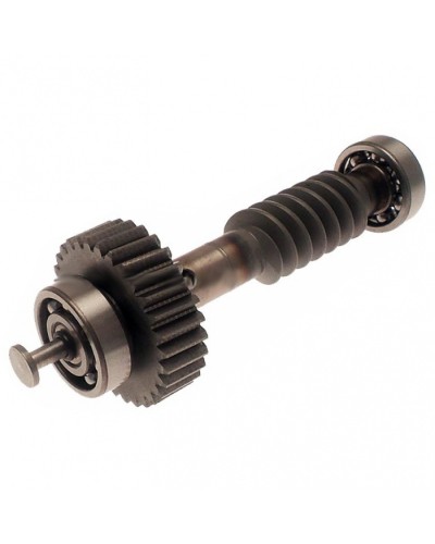 Червяк редуктора FAST в сборе Came 119RID228 в Нижнем Тагиле Запчасти для шлагбаумов и автоматики Pintop.ru