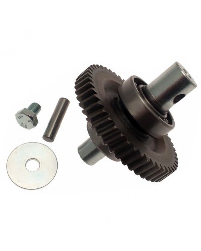 Шестерня редуктора FAST в сборе Came 119RID229 в Нижнем Тагиле Запчасти для шлагбаумов и автоматики Pintop.ru