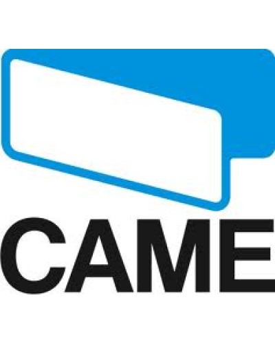 Пластина крепления стрелы Came 119RIG055 в Нижнем Тагиле Запчасти для шлагбаумов и автоматики Pintop.ru