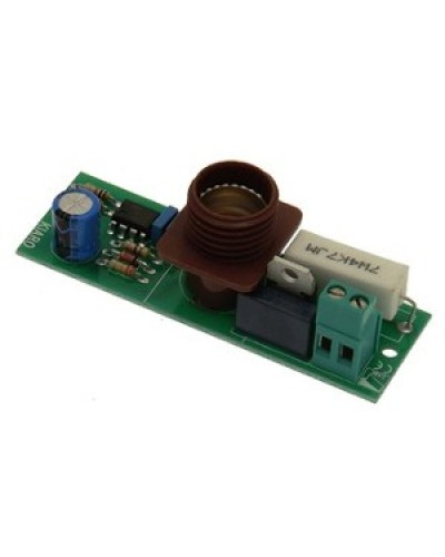 Плата лампы KIARO 24 Came 119RIR030 в Нижнем Тагиле Запчасти для шлагбаумов и автоматики Pintop.ru