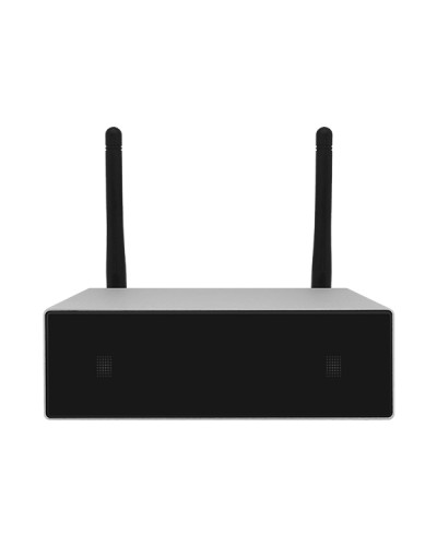 Усилитель потоковой передачи WIFI DSPPA DW-0250 в Нижнем Тагиле Система оповещения и трансляции Dsppa Pintop.ru