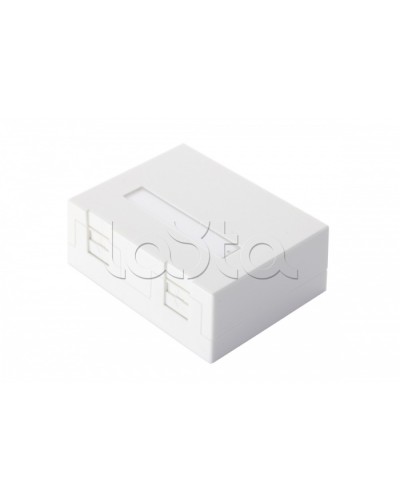 Настенная коробка 2-портовая со шторками, белый Eurolan (12B-04-02WT-2) в Нижнем Тагиле Розетки компьютерные и телефонные Pintop.ru