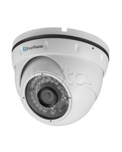 IP-камера видеонаблюдения купольная EverFocus ACE-IAV30 в Нижнем Тагиле IP-камеры Pintop.ru