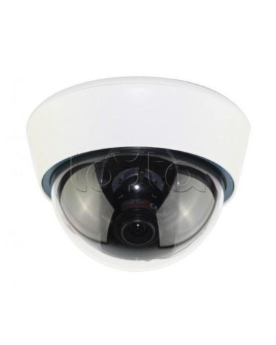 IP-камера видеонаблюдения купольная EverFocus ACE-IOV20A в Нижнем Тагиле IP-камеры Pintop.ru