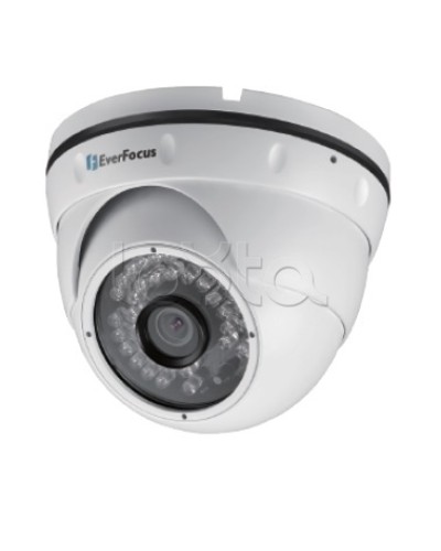 IP-камера видеонаблюдения уличная купольная EverFocus EBN-268 в Нижнем Тагиле IP-камеры Pintop.ru