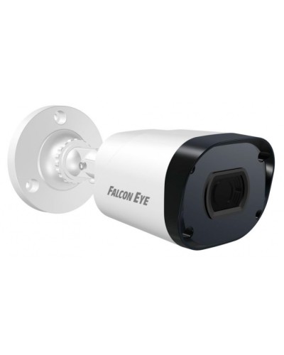IP-камера видеонаблюдения в стандартном исполнении Falcon Eye FE-IPC-B2-30p в Нижнем Тагиле IP-камеры Pintop.ru