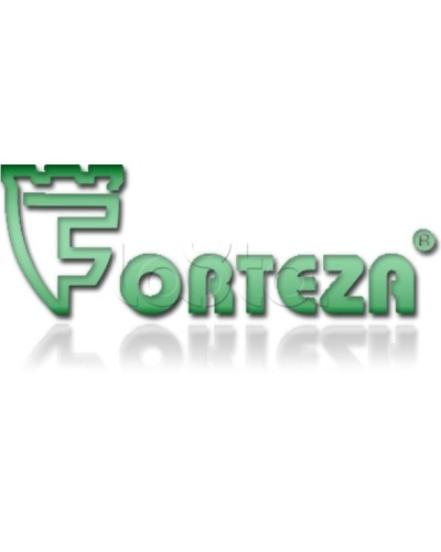 Плата сменная Forteza Плата БГр-4 в Нижнем Тагиле Устройства защиты операционных процессоров (ОПС) Pintop.ru