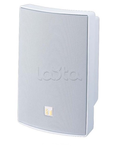 Громкоговоритель универсальный двухполосный TOA BS-1030W в Нижнем Тагиле Системы оповещения и трансляции TOA Pintop.ru