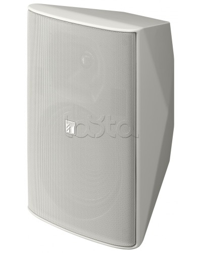 Громкоговоритель 2 полосный TOA F-2000 WT в Нижнем Тагиле Системы оповещения и трансляции TOA Pintop.ru