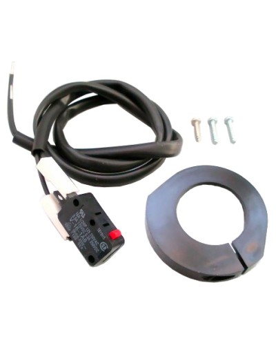 Микровыкл. FERNI в сборе Came 119RID093 в Нижнем Тагиле Запчасти для шлагбаумов и автоматики Pintop.ru