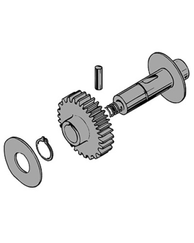 Вал в сборе C100 Came 119RIC011 в Нижнем Тагиле Запчасти для шлагбаумов и автоматики Pintop.ru
