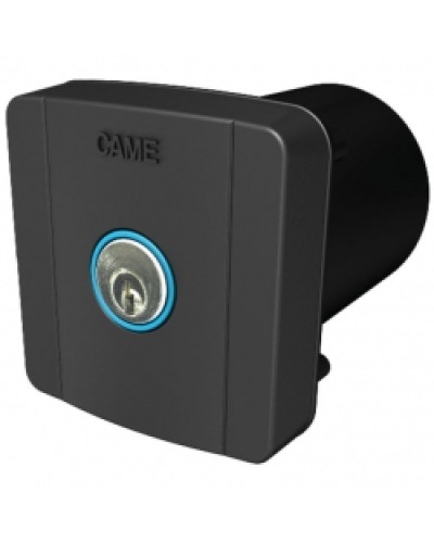 Ключ-выключатель встраиваемый Came 806SL-0020 в Нижнем Тагиле Запчасти для шлагбаумов и автоматики Pintop.ru