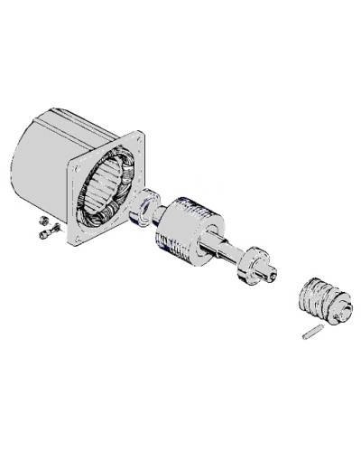 Электродвигатель С-100 Came 119RIC052 в Нижнем Тагиле Запчасти для шлагбаумов и автоматики Pintop.ru