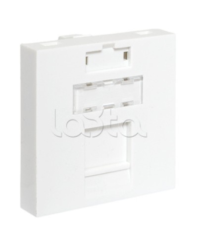 Вставка розеточная TERACOM PRO 45x45мм формат Mosaic на 1 модуль Keystone белая EKF (TRP-INS-MOS-2M1P-WH) в Нижнем Тагиле Розетки компьютерные и телефонные Pintop.ru