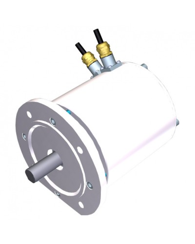 Электродвигатель FROG-MS Came 119RIA081 в Нижнем Тагиле Запчасти для шлагбаумов и автоматики Pintop.ru