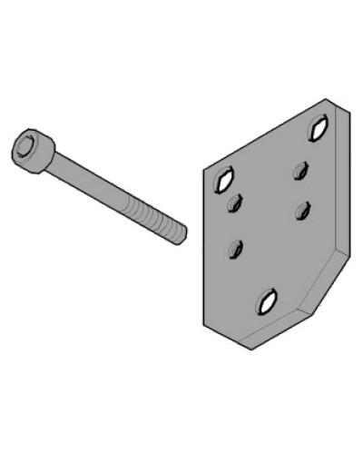 Пластина монтажная FLEX Came 119RID143 в Нижнем Тагиле Запчасти для шлагбаумов и автоматики Pintop.ru