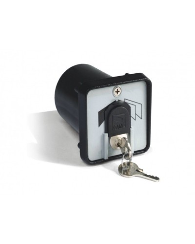 Ключ-выключатель с защитой цилиндра, встраиваемый Came 001SET-K в Нижнем Тагиле Запчасти для шлагбаумов и автоматики Pintop.ru