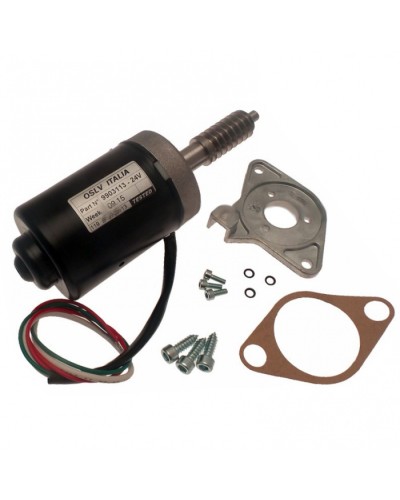 Электродвигатель BX-243 в сборе Came 119RIBX046 в Нижнем Тагиле Запчасти для шлагбаумов и автоматики Pintop.ru