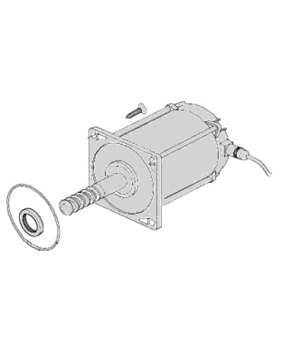 Электродвигатель Came 119RIA025 в Нижнем Тагиле Запчасти для шлагбаумов и автоматики Pintop.ru